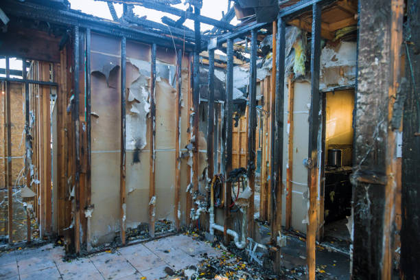 Professional Odor Removal technician working in Dover Base Housing, DE